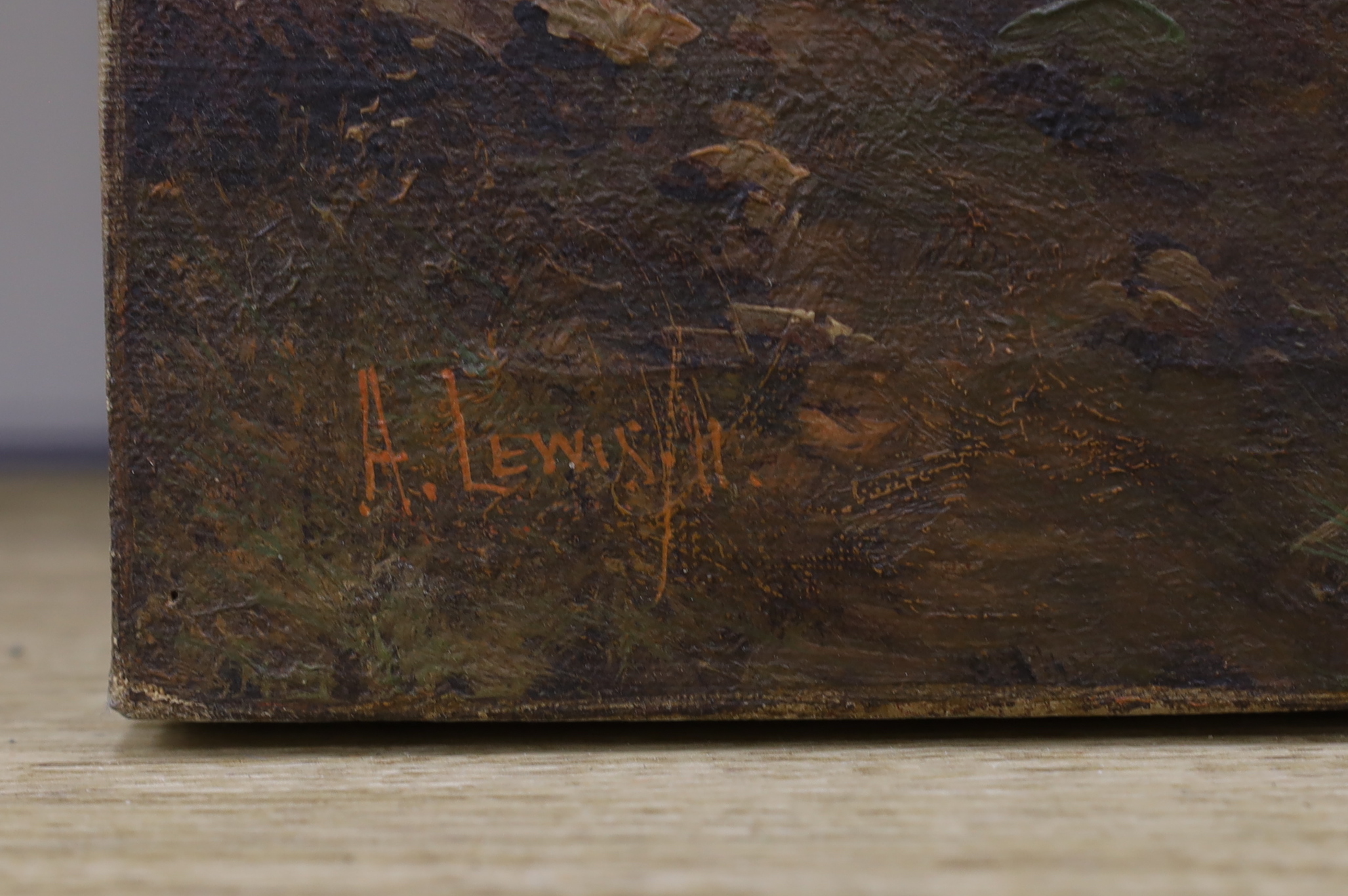 A. Lewis (19/20th C.), oil on canvas, Mountainous river landscape, signed, Windsor & Newton stamp verso, unframed, 30 x 50cm